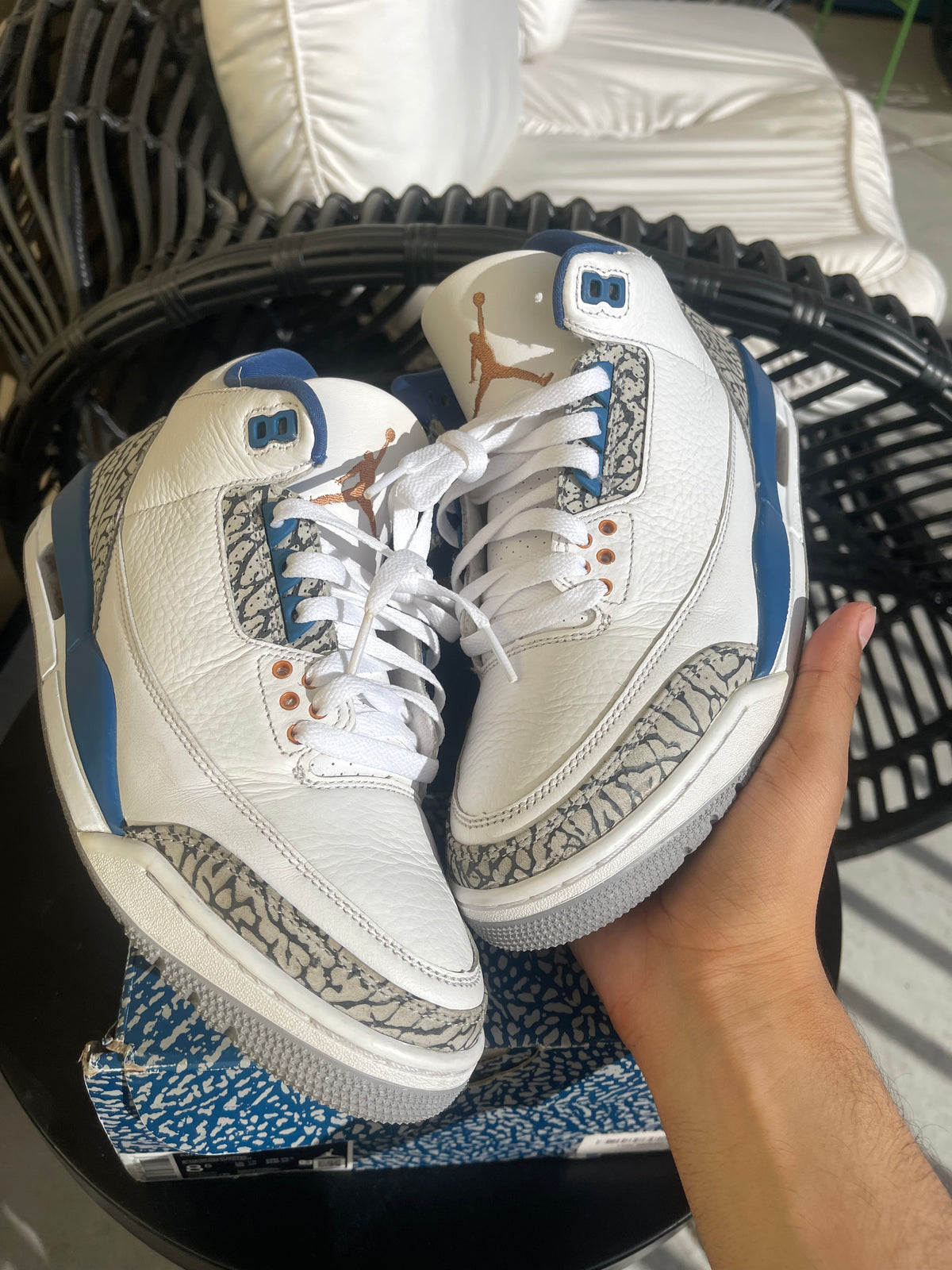 Jordan 3 Retro Wizards
